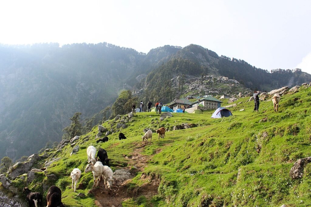 Trekking